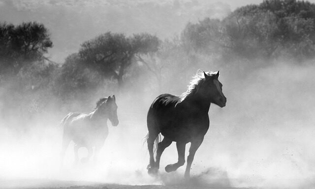 Gdzie można palić papierosy w Turcji?