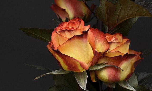 Ile za urodzenie dziecka w UK?