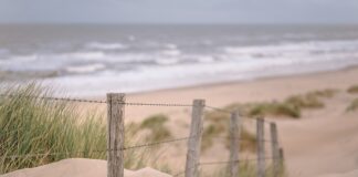 Jakie wycieczki na Djerbie?