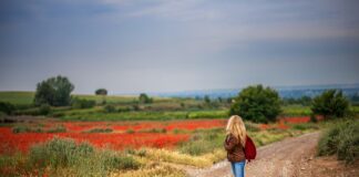 Co daje chodzenie 5 km dziennie?