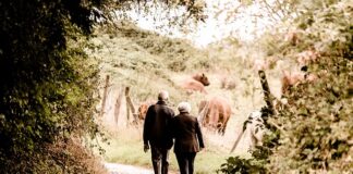 Ile dostanę emerytury po 10 latach pracy w UK?