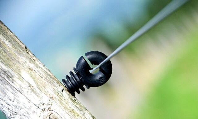 Jak nazywają Polaków za granicą? Jak nazywają Polaków za granicą?