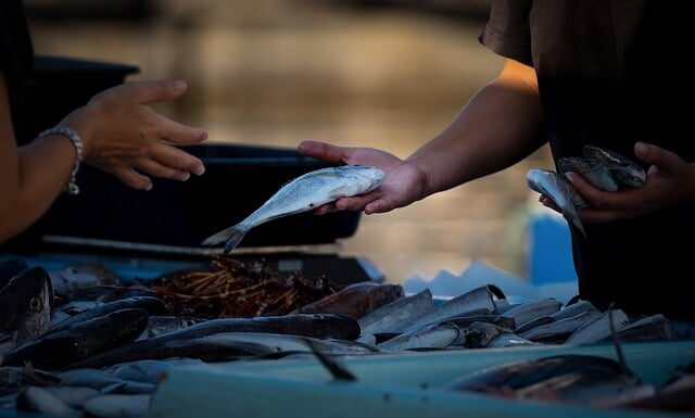 Czy rodzina właściciela może sprzedawać w niedziele? Czy rodzina właściciela może sprzedawać w niedziele?
