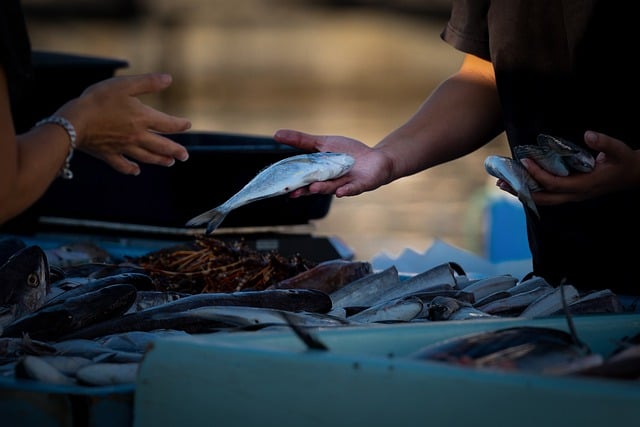 Czy rodzina właściciela może sprzedawać w niedziele? Czy rodzina właściciela może sprzedawać w niedziele?