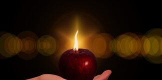 Dlaczego Wizz Air nie lata do Poznania?