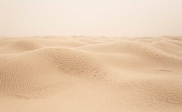 Czy do Tunezji na dowód osobisty?