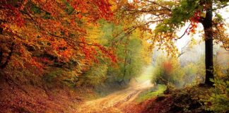 Kiedy jest pora deszczowa w Tunezji?