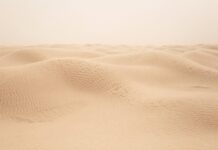 Ile pieniędzy zabrać do Tunezji? Ile pieniędzy zabrać do Tunezji?