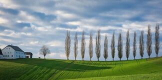 Co oznaczają różne kolory pod symbolem roweru?