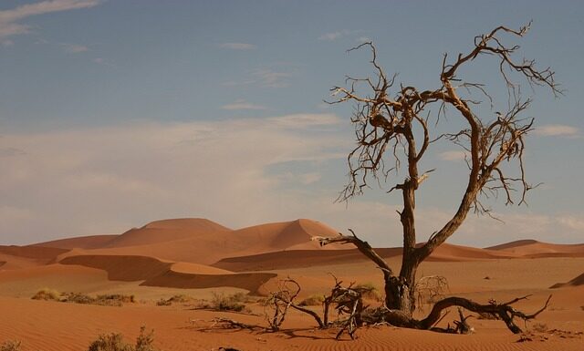 Kto przeżył uderzenie pioruna? Kto przeżył uderzenie pioruna?