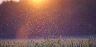 Jak korzystać z Komoot?