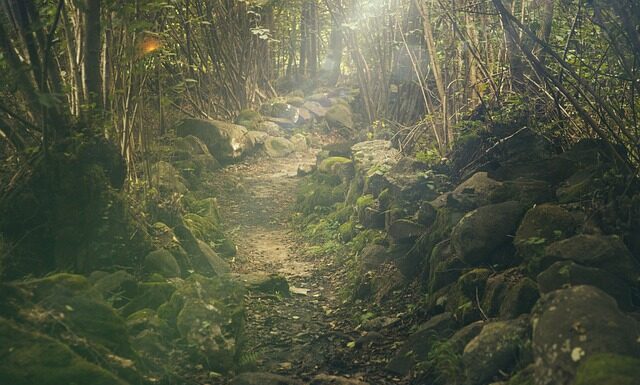 Jak się ubrać na wycieczkę do piramid? Jak się ubrać na wycieczkę do piramid?