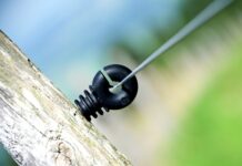 Jak Austriacy traktują Polaków? Jak Austriacy traktują Polaków?