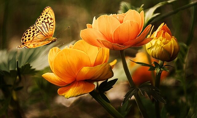 Jak ułatwić sobie mycie okien? Jak ułatwić sobie mycie okien?