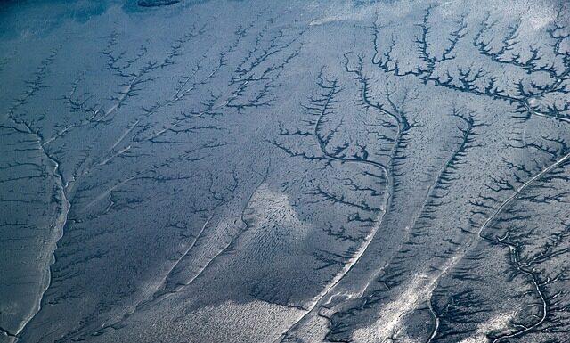 Czy daje się napiwek dostawcy pizzy?