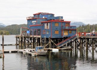 Do kogo podobni są Polacy?