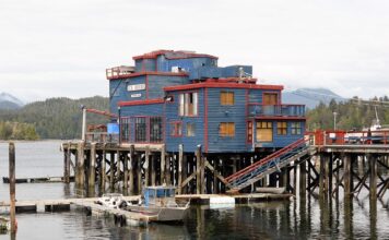 Do kogo podobni są Polacy? Do kogo podobni są Polacy?