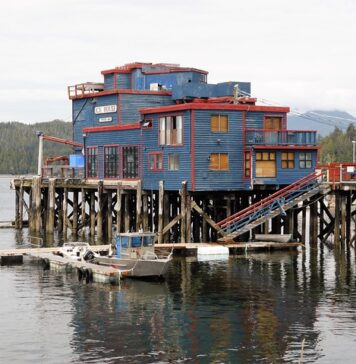 Do kogo podobni są Polacy?