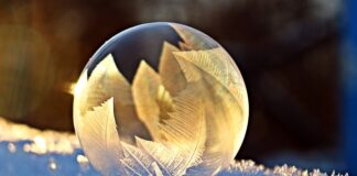 W jakim banku jest Western Union?