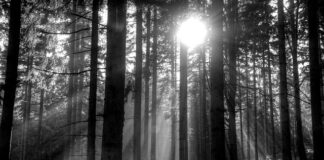 Gdzie warto pojechać Szklarska Poręba czy Karpacz?