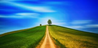 Czy chodzenie po schodach jest dobre dla kolan?