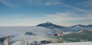 Ile kosztuje przejazd bryczką na Morskie Oko?