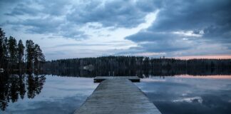 Skąd Finlandia ma gaz?