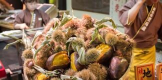 Jak dojechać z lotniska do centrum Edynburga?