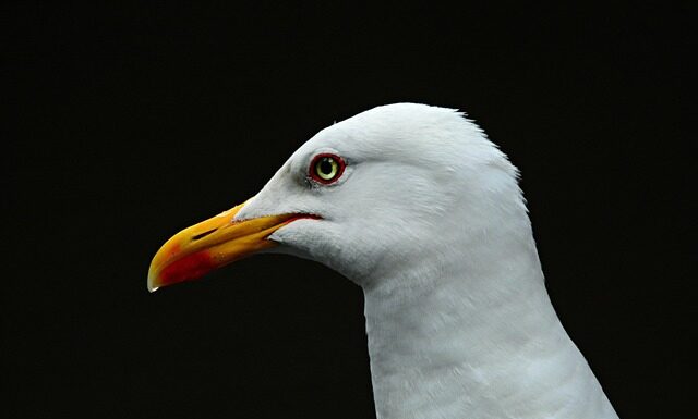 Ile się idzie na Morskie Oko z dzieckiem? Ile się idzie na Morskie Oko z dzieckiem?