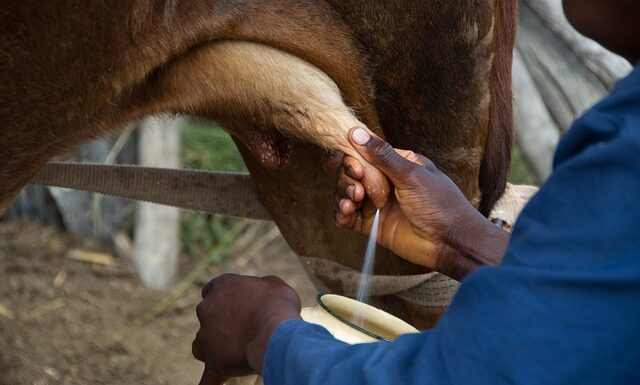 Ile dostanę za 1 €? Ile dostanę za 1 €?