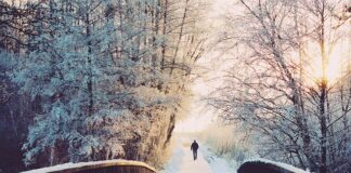 Ile dziennie można przejść pieszo?