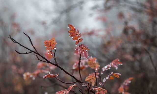Czy ruskie lubią Polaków? Czy ruskie lubią Polaków?