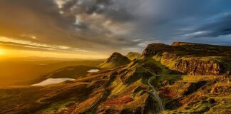 Dlaczego Oset jest symbolem Szkocji?