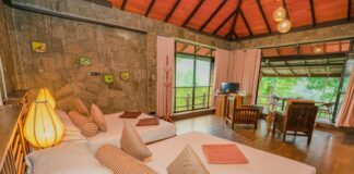 Czym różnią się noclegi pracownicze od hoteli i hosteli