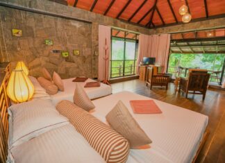 Czym różnią się noclegi pracownicze od hoteli i hosteli? Czym różnią się noclegi pracownicze od hoteli i hosteli