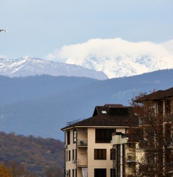 Najlepsze apartamenty na wynajem w Zakopanem blisko górskich szlaków i centrum