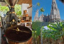 Tydzień na Gran Canarii? Z Gran Canaria 4 You spędzisz go bardzo aktywnie! Tydzień na Gran Canarii