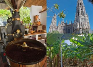 Tydzień na Gran Canarii? Z Gran Canaria 4 You spędzisz go bardzo aktywnie! Tydzień na Gran Canarii