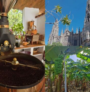 Tydzień na Gran Canarii? Z Gran Canaria 4 You spędzisz go bardzo aktywnie! Tydzień na Gran Canarii