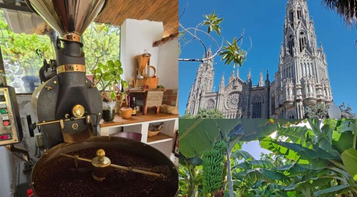 Tydzień na Gran Canarii? Z Gran Canaria 4 You spędzisz go bardzo aktywnie! Tydzień na Gran Canarii