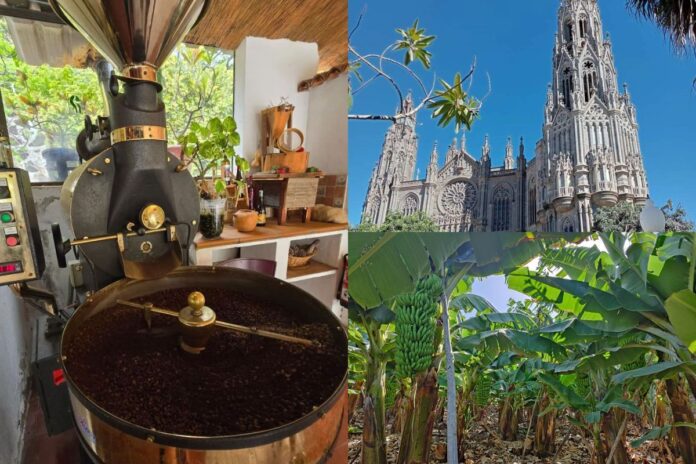 tydzien-na-gran-canarii-z-gran-canaria-4-you-spedzisz-go-bardzo-aktywnie Tydzień na Gran Canarii